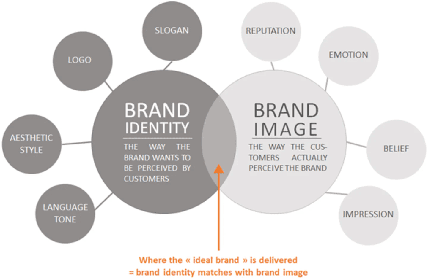 Brand Identity and Visual System